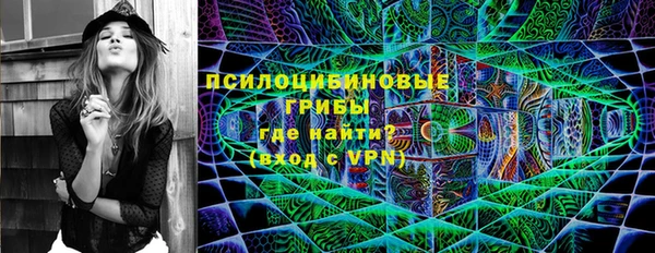 ГАЛЛЮЦИНОГЕННЫЕ ГРИБЫ Абдулино