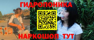 индика Малгобек
