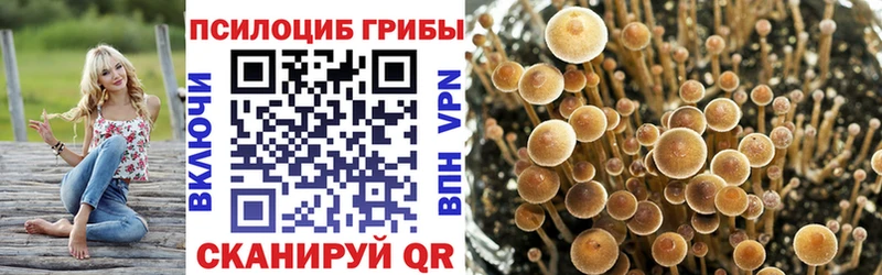 Галлюциногенные грибы GOLDEN TEACHER  где можно купить   кракен как войти  Лабытнанги 
