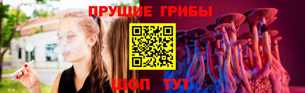 Галлюциногенные грибы Psilocybine cubensis Лабытнанги